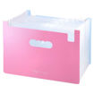 Picture of EXPANDING FILE A4 13 TABS PINK